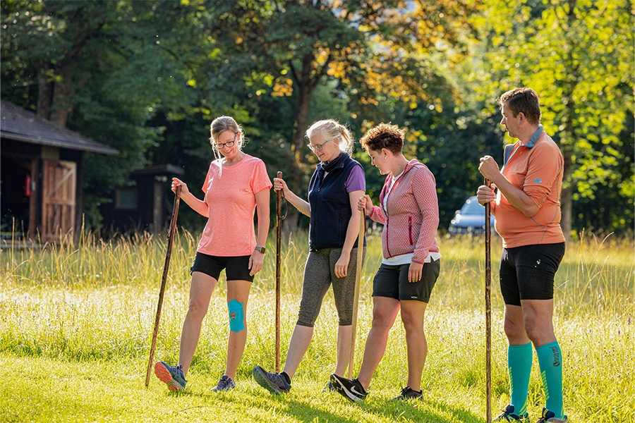 Mehrere Menschen sind mit Wanderstöcken auf einer Wiese in der Sonne unterwegs.